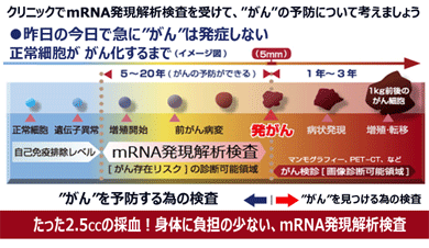 正常細胞ががん化するまで
